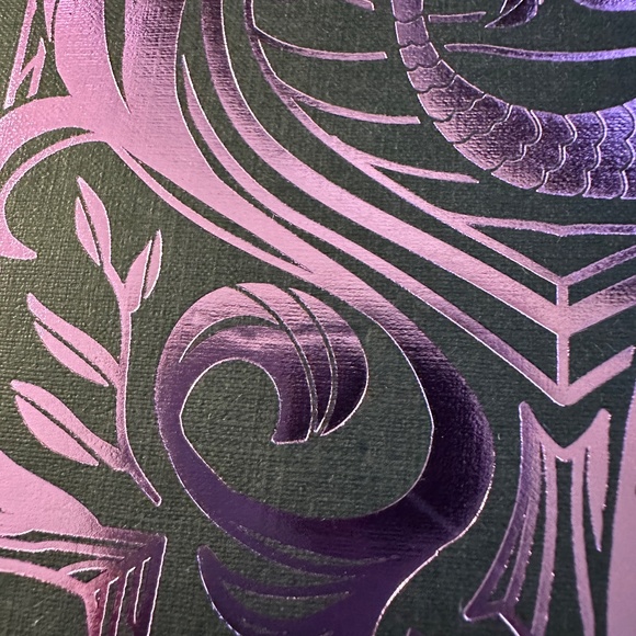 Bookish Box September 2021 YA Box Defy the Night by Brigid Kemmerer - Picture 6 of 6